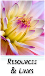 Liz Baughman, Energy Healing, Wellness & Nutrition, Tantric Healing, Soul Journeys, Massage Therapy, in Sedona, Arizona