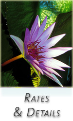 Rates & Details
